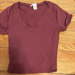 Aritzia Mauve V-Neck Ribbed Top
